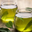 Einen leckeren grünen Tee in Uelzen trinken.